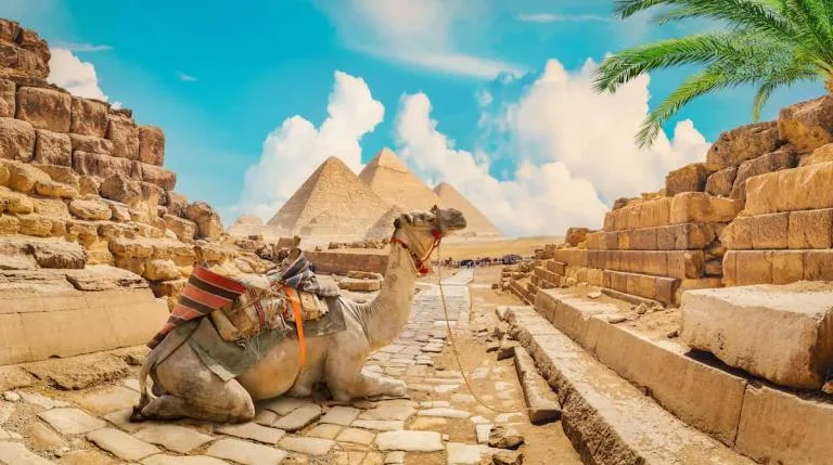 Egypt-Travel-Packages-from-Australia-by-flight-768×429 Egypt-Travel-Packages-from-Australia-by-flight-768×429