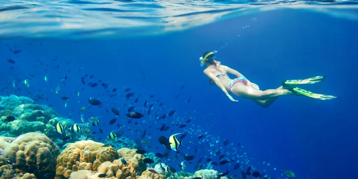Snorkeling Trip in Hurghada – Egypt Tours Portal Snorkeling Trip in Hurghada – Egypt Tours Portal