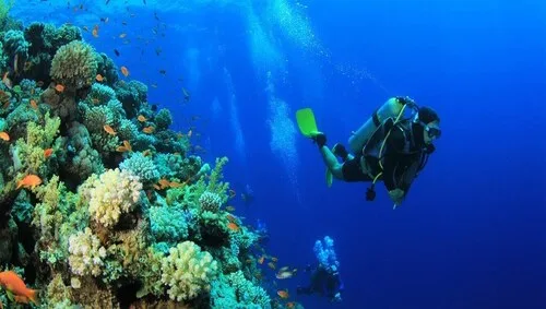 15970596110hurghada tours 15970596110hurghada tours
