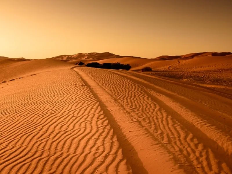 desert-1748462_960_720-800×600 desert-1748462_960_720-800×600